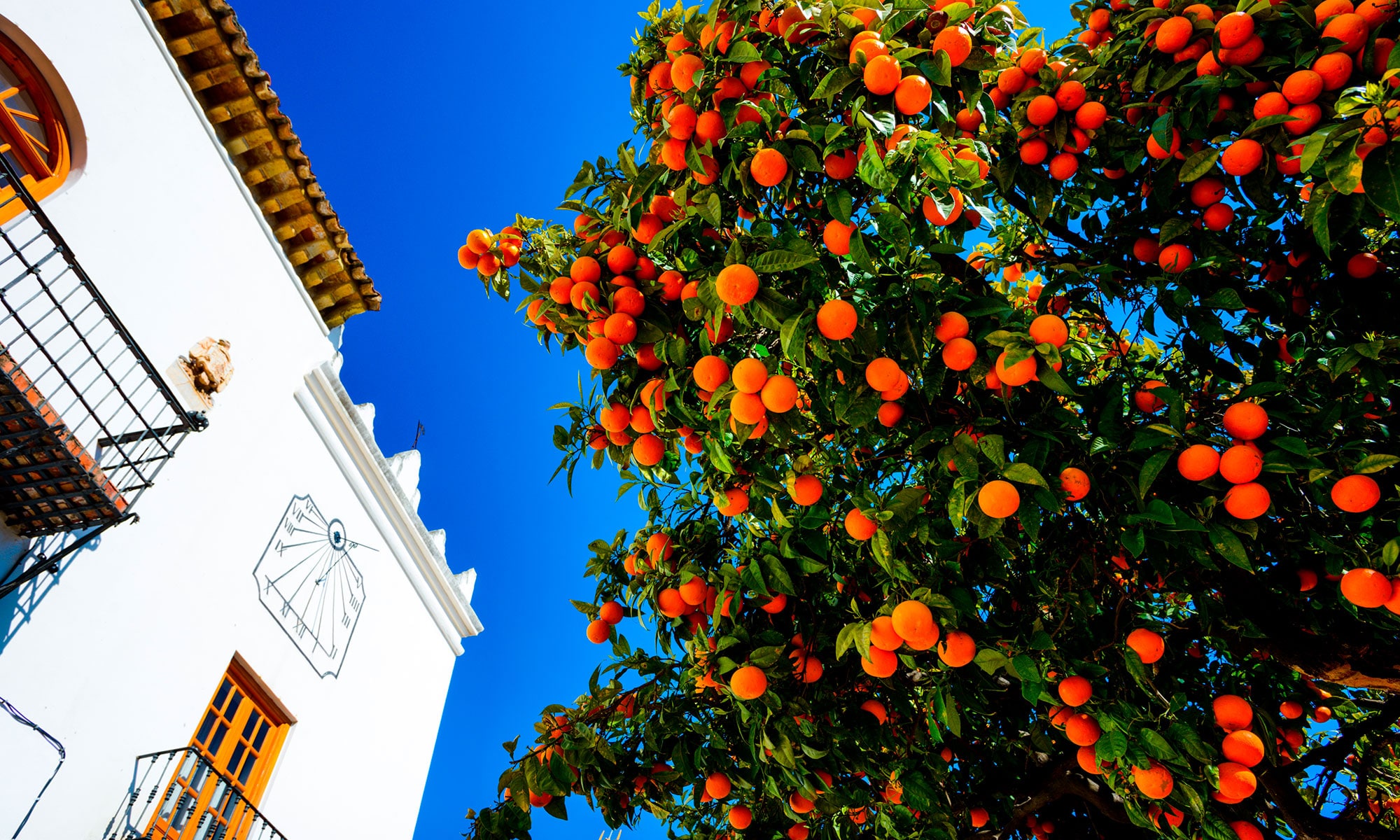 Guide Marbella Town