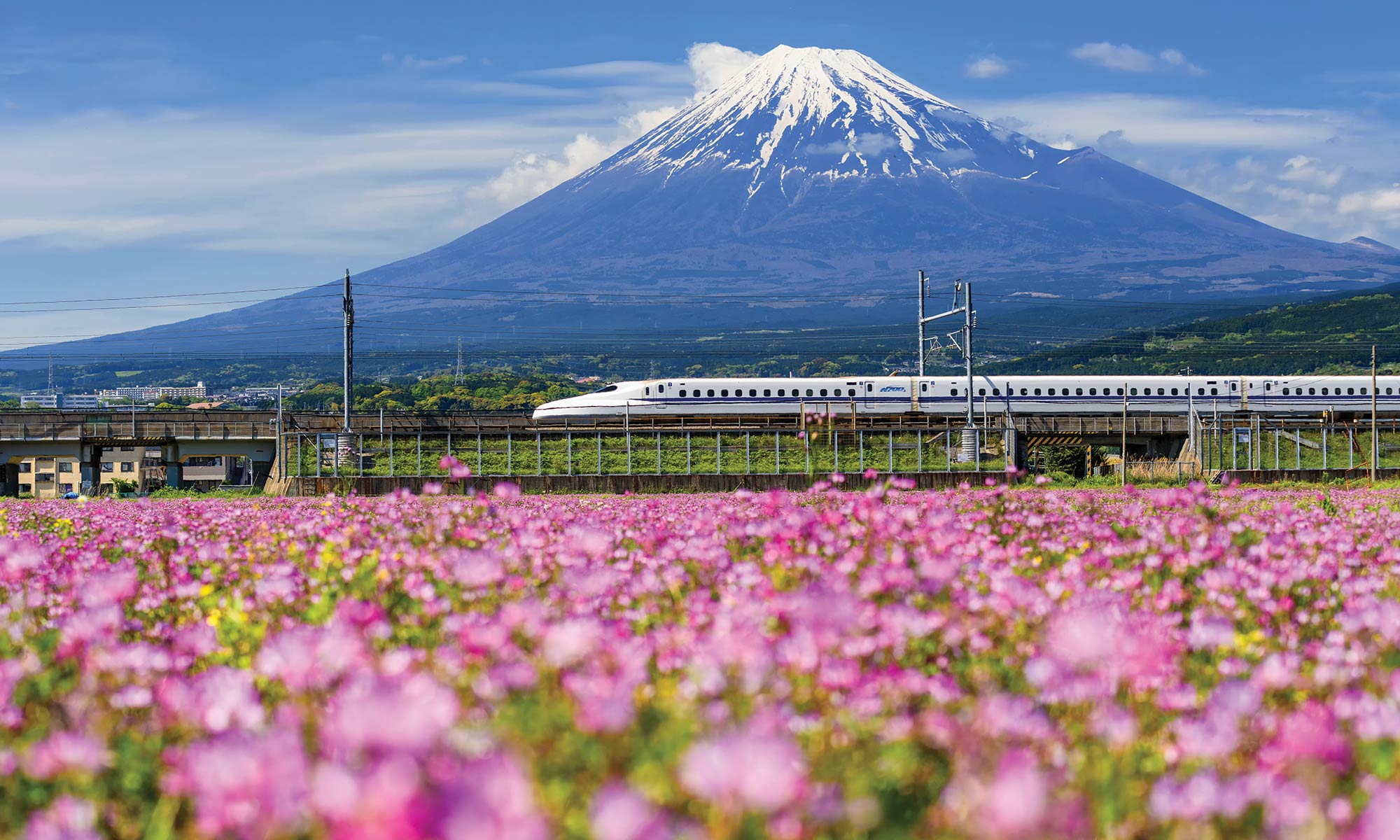 Cool Travel