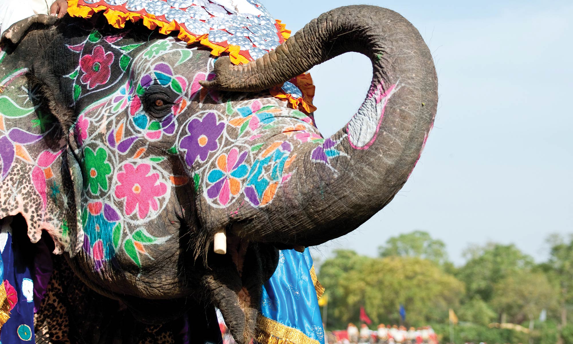 Festivals