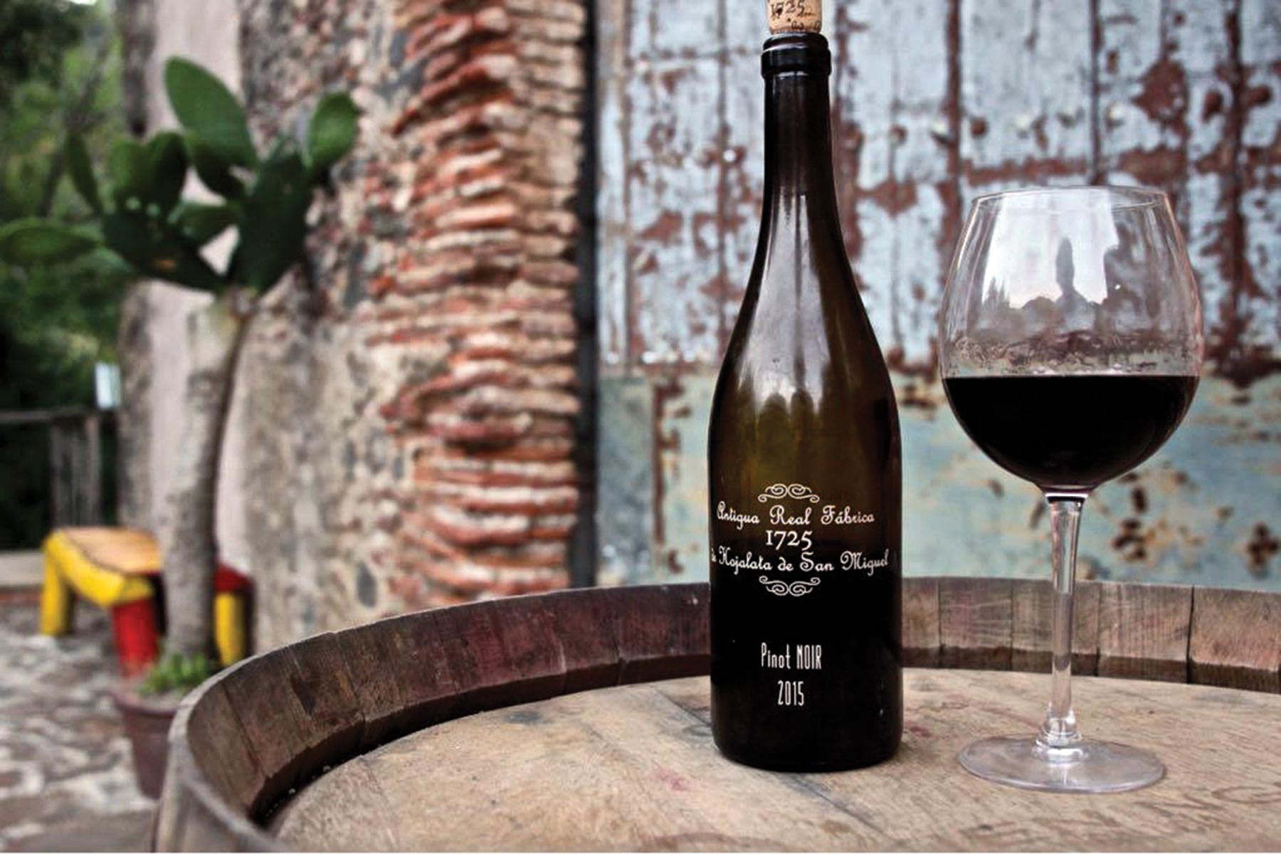 Tin Factory Winery Juzgar