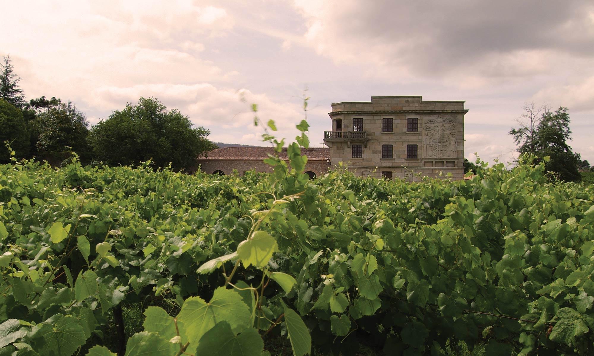 Albariño