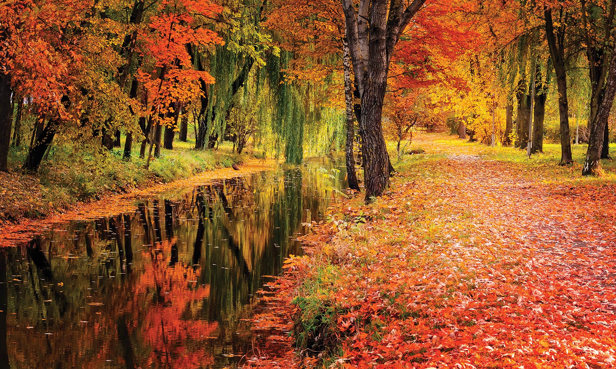 Autumn in Andalucía
