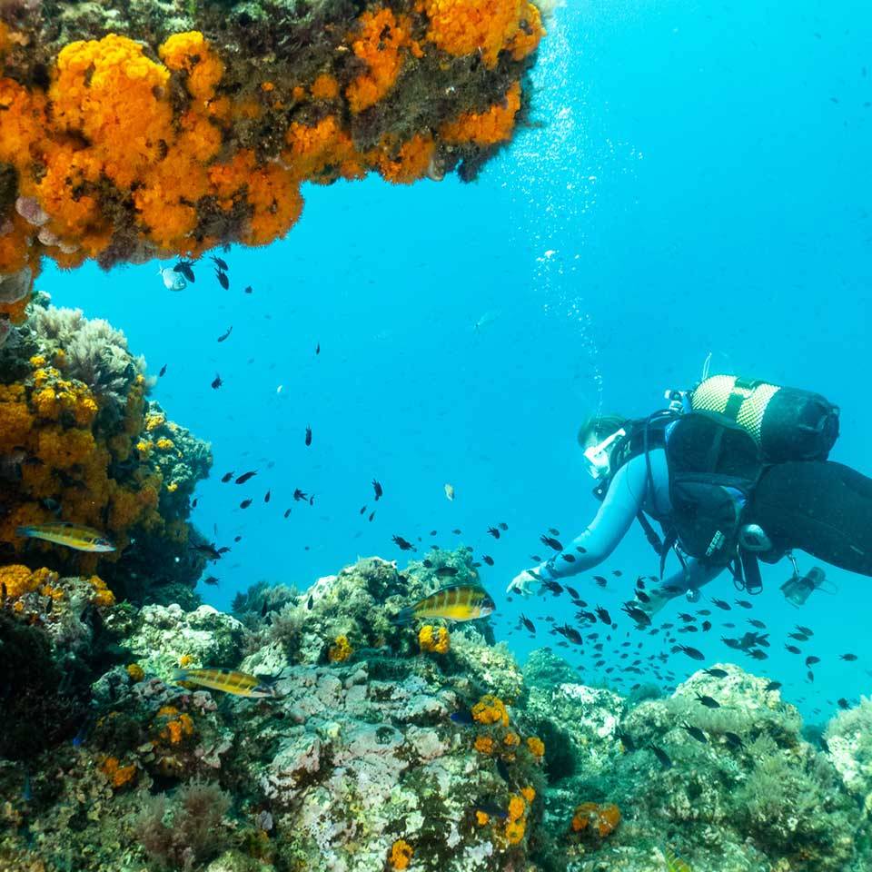 Diving-Marbella